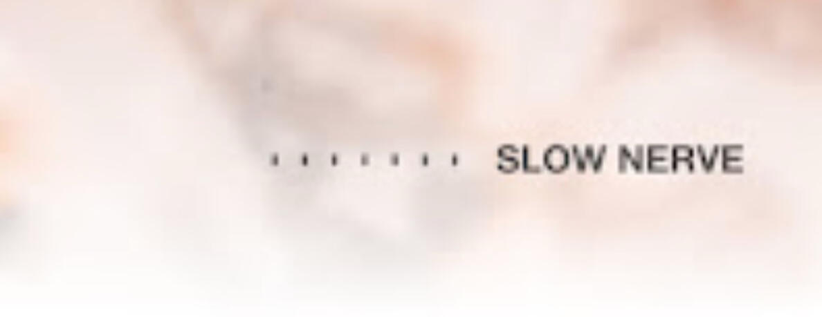 2016 Registrazione demo "Slow Nerve"