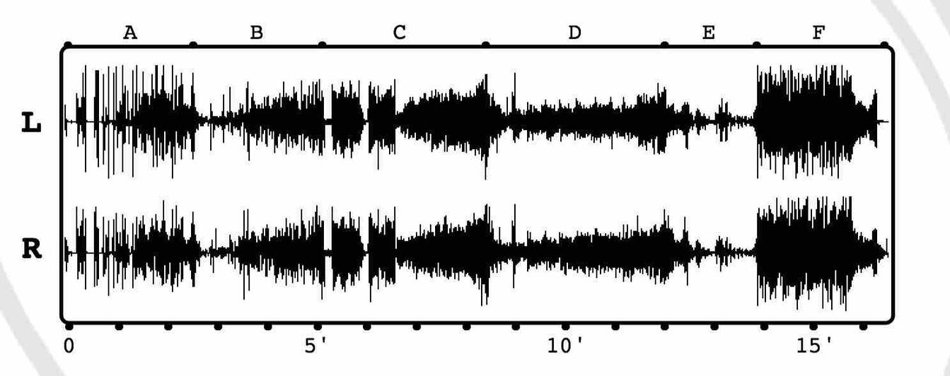 Irregularis circulatio